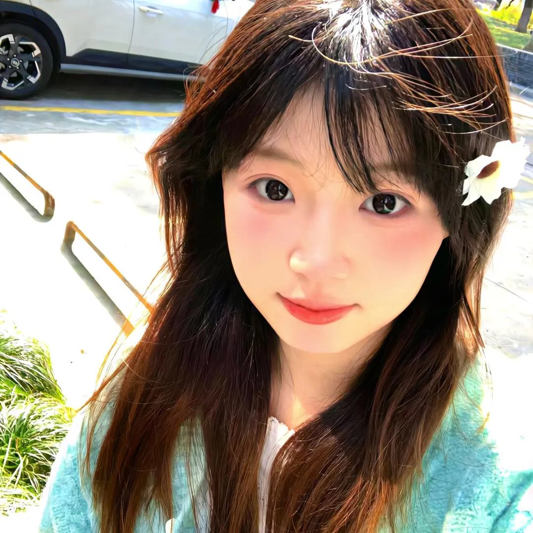 森林之境